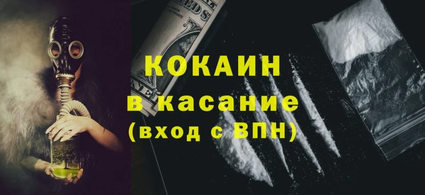 индика Лиски