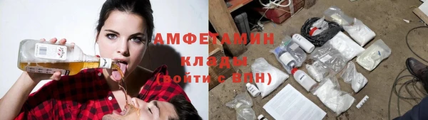 крисы Майский