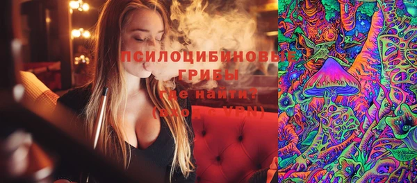индика Лиски
