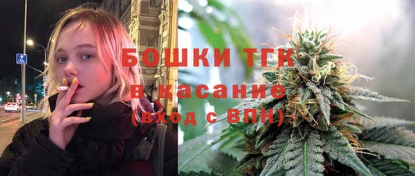 индика Лиски