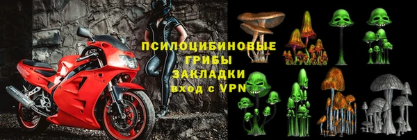 крисы Майский