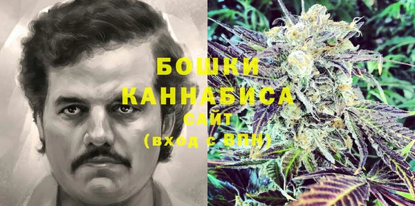 индика Лиски
