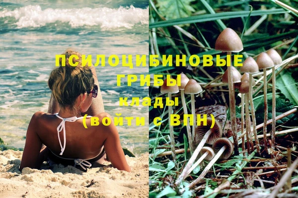 крисы Майский