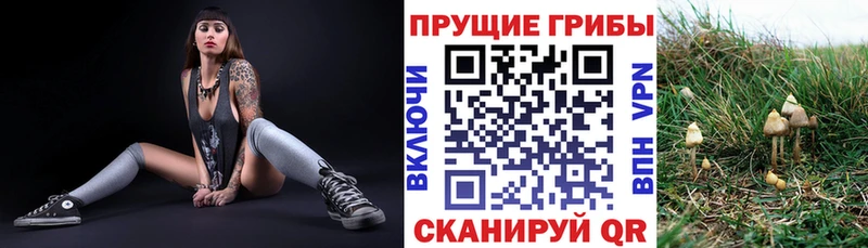 Галлюциногенные грибы ЛСД даркнет сайт МЕГА ссылки Сосновый Бор