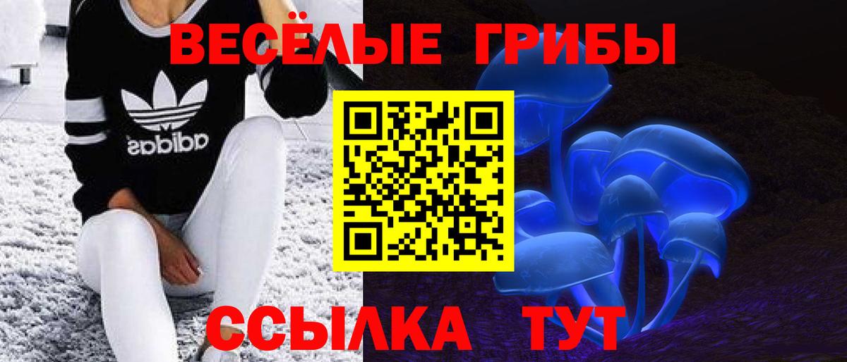 Сосновый Бор  Псилоцибиновые грибы Psilocybe  что такое   Галлюциногенные грибы Cubensis  Вход с VPN 