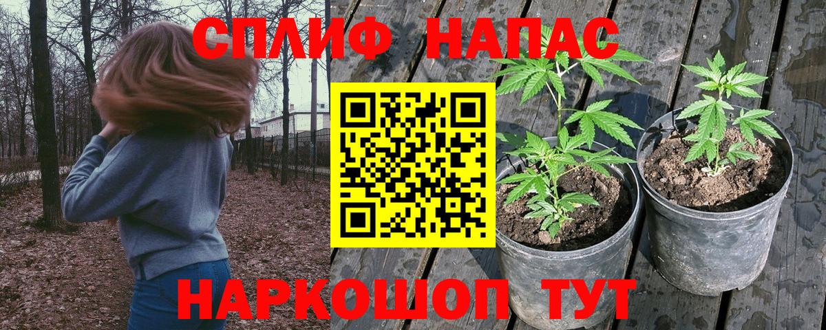 Бошки марихуана конопля Сосновый Бор